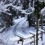 Spokojny W Skawicy *