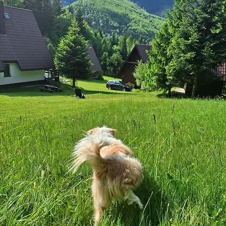 Spokojny W Skawicy * Skawica (Lesser Poland)
